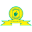 صن داونز